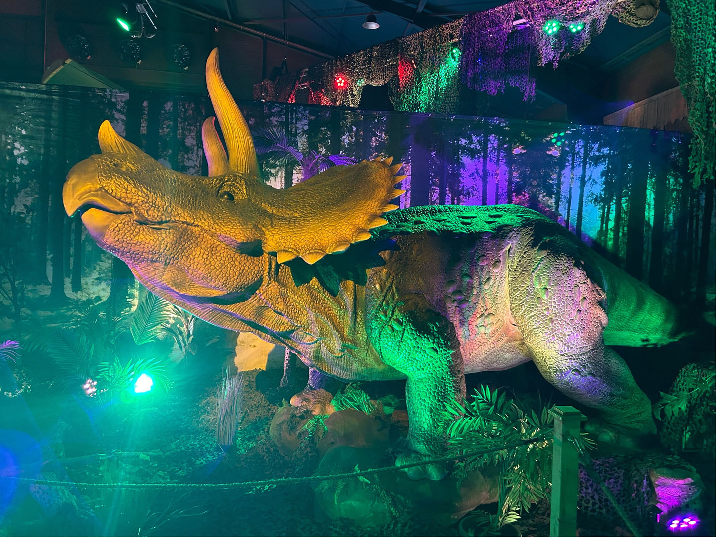 World of Dinos - afbeelding 4