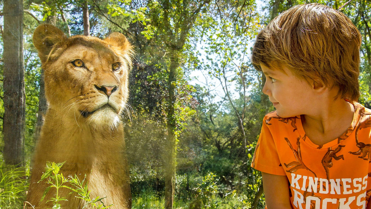 DierenPark Amersfoort - afbeelding 6