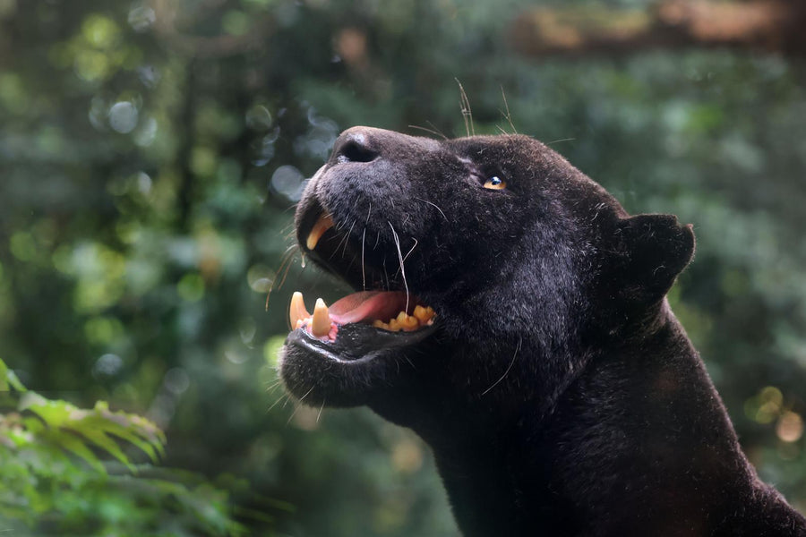 ARTIS-Park tickets met korting - afbeelding 1